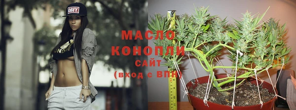 тгк Каменск-Шахтинский