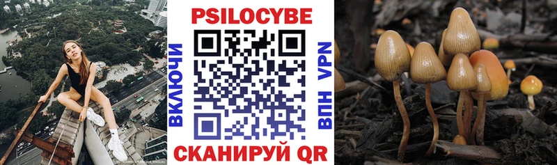 купить   гидра онион  Галлюциногенные грибы Psilocybine cubensis  Юрьев-Польский 